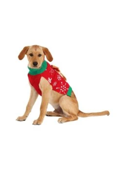 Christmas Present Pet Sweater -Kurt Adler Shop christmas present dog sweater alt 7